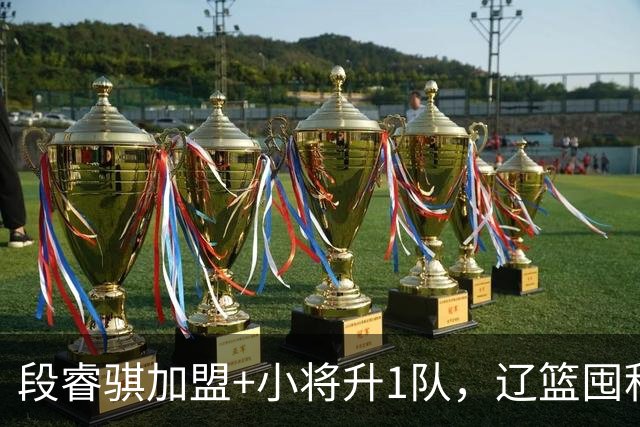 段睿骐加盟+小将升1队，辽篮囤积6后卫，乌戈遇新难题，如何破解